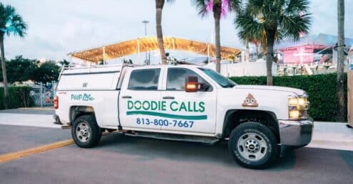 Our Services